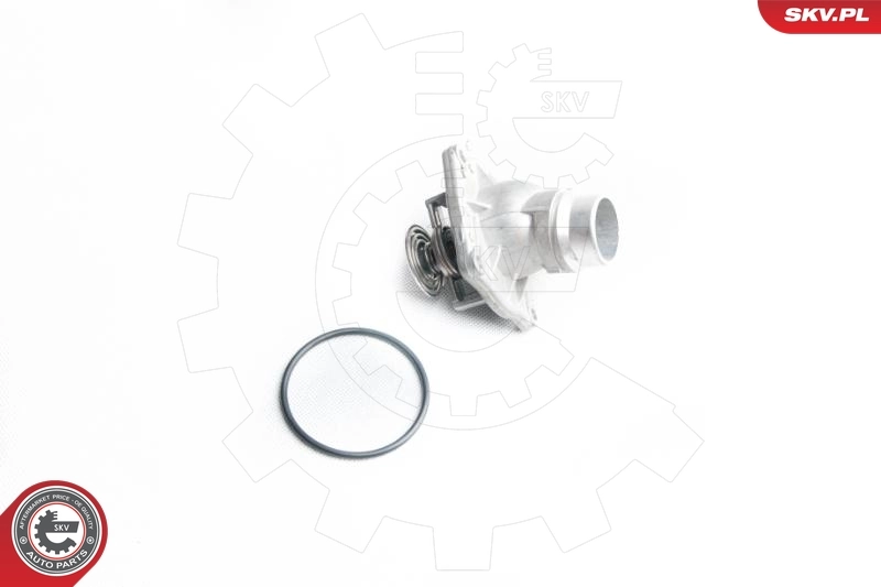Thermostat, coolant